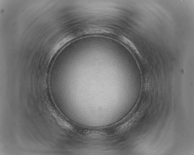 X0000088020786200705251050