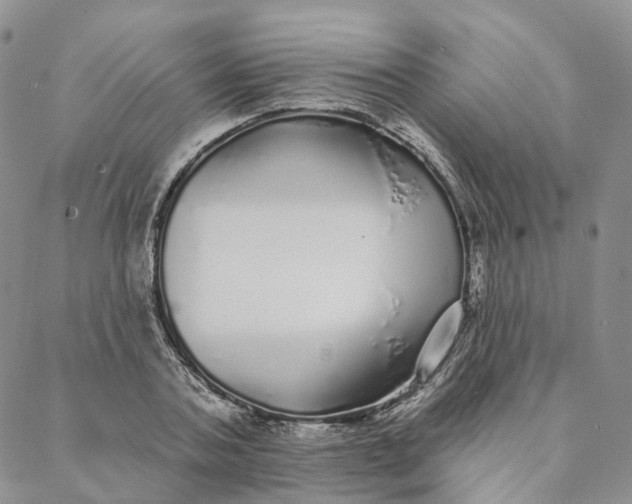 X0000088020787200705251050