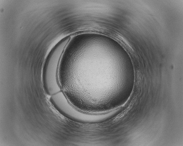 X0000088020788200705251050