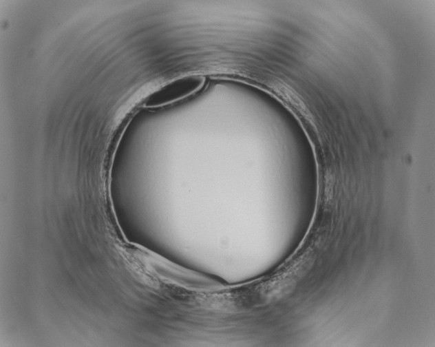 X0000088020789200705251050