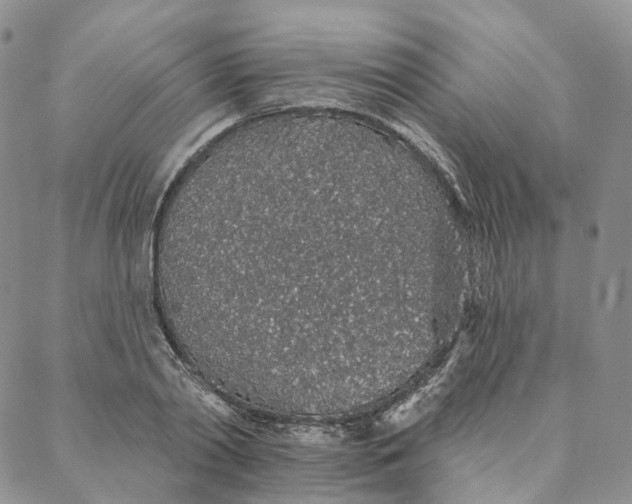 X0000088020790200705251050