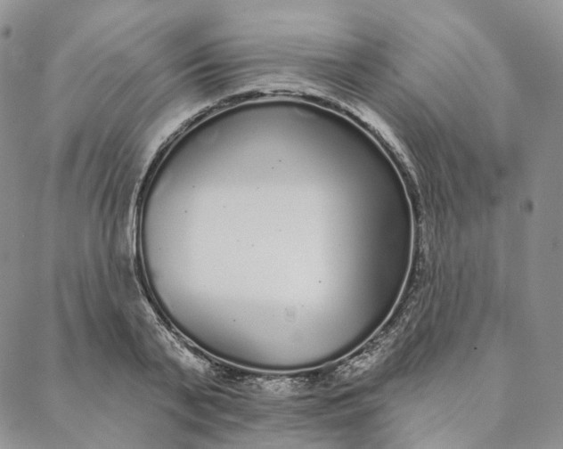 X0000088020791200705251050