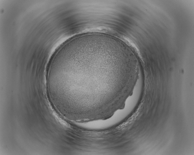 X0000088020792200705251050