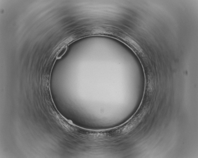 X0000088020793200705251050