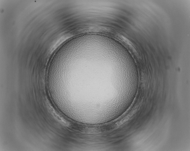 X0000088020794200705251050