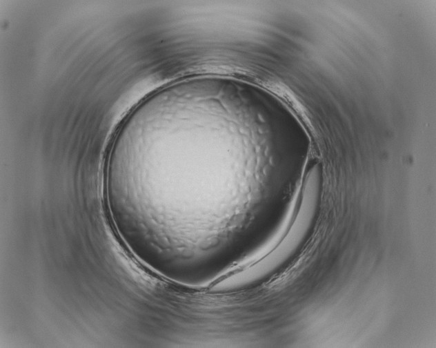 X0000088020795200705251050