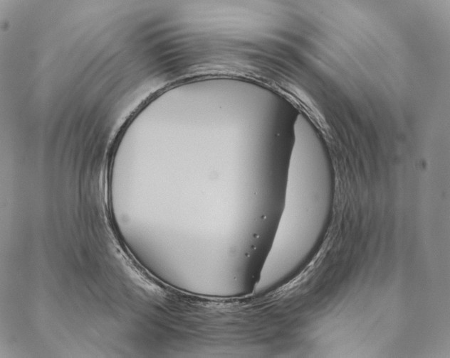 X0000088020796200705251050