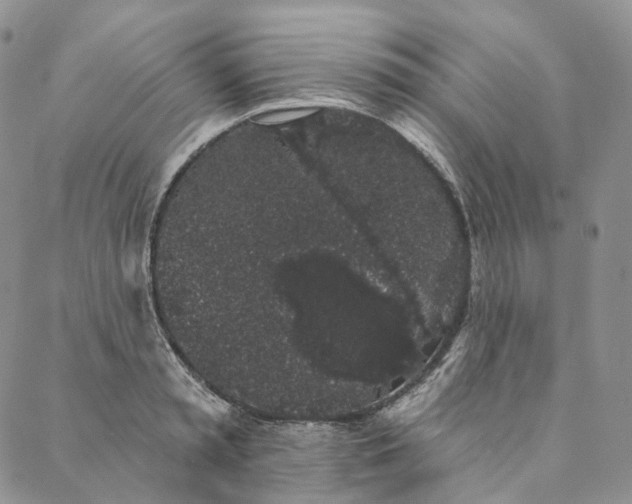 X0000088020797200705251050