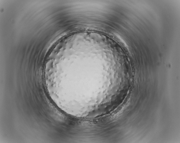 X0000088020798200705251050