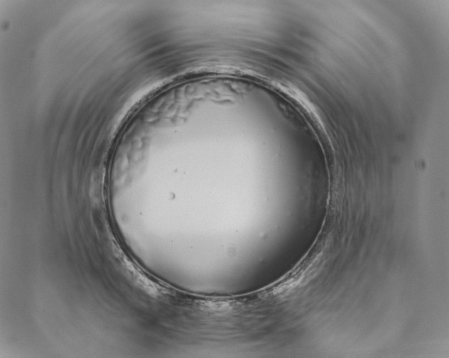 X0000088020799200705251050