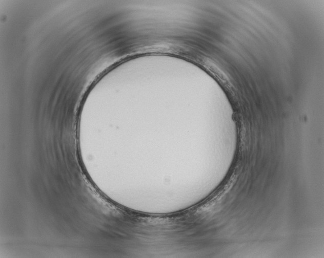 X0000088020800200705251050