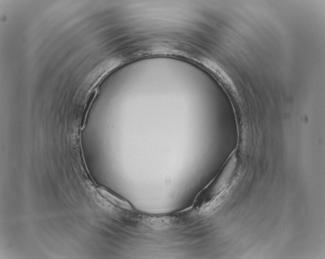 X0000088020801200705251050