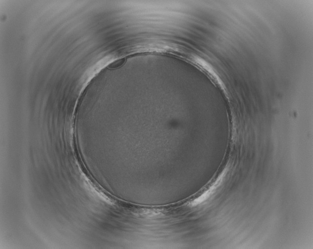 X0000088020802200705251050