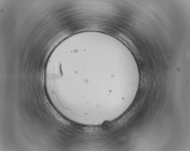 X0000088020804200705251050