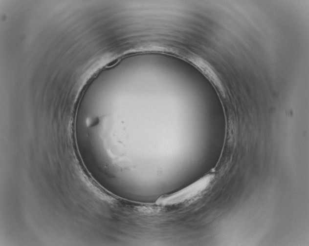 X0000088020805200705251050