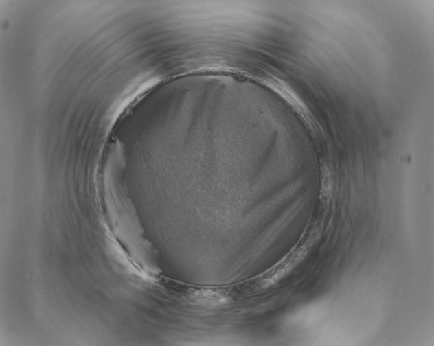 X0000088020806200705251050