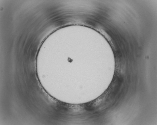 X0000088020807200705251050