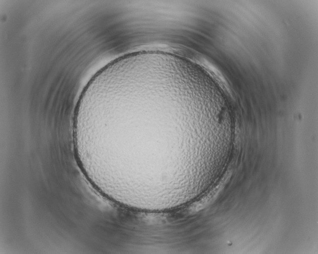 X0000088020808200705251050