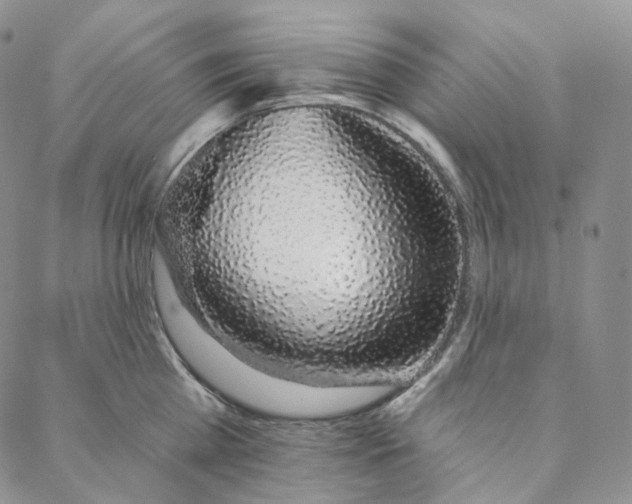 X0000088020809200705251050