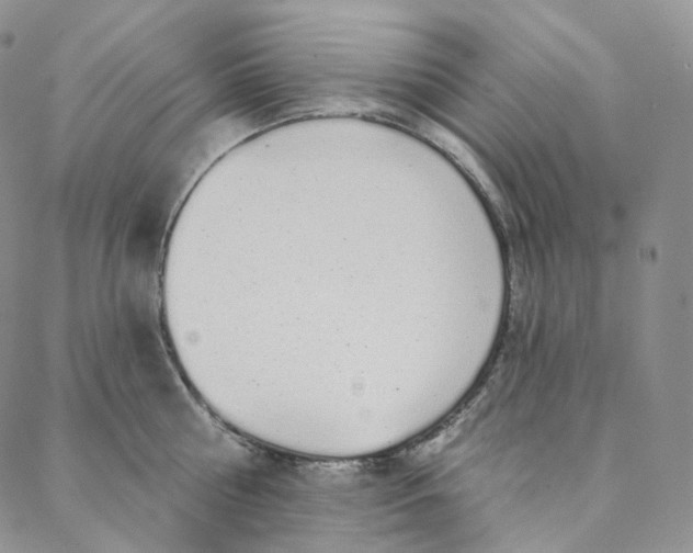 X0000088020810200705251050