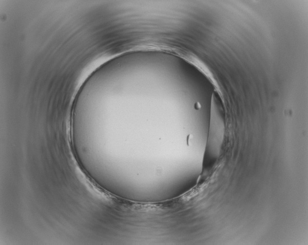 X0000088020811200705251050