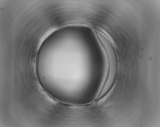 X0000088020812200705251050