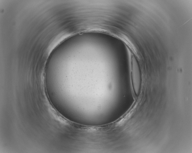 X0000088020814200705251050