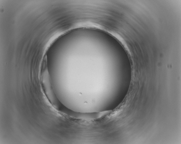 X0000088020815200705251050