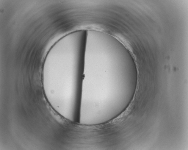 X0000088020816200705251050