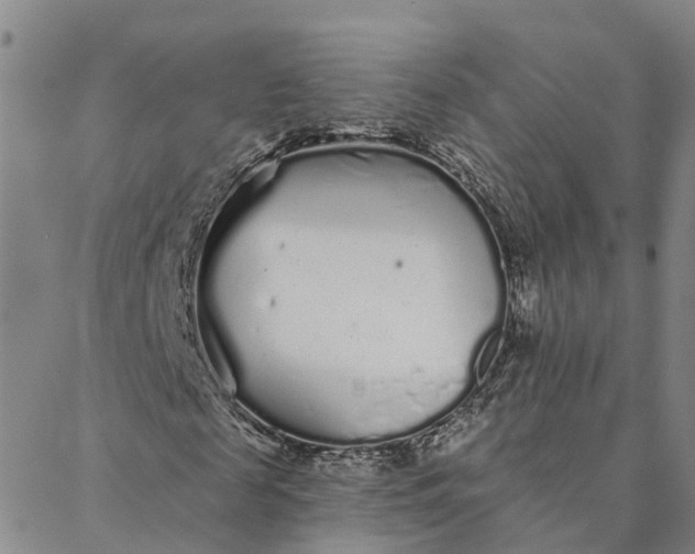 X0000088020817200705251049