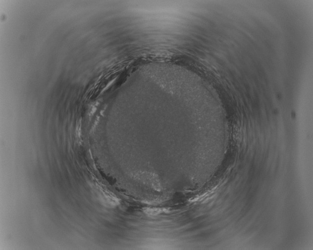 X0000088020818200705251049