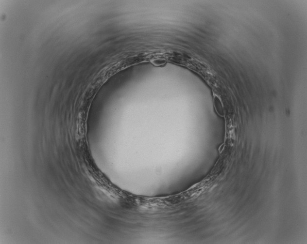 X0000088020819200705251049