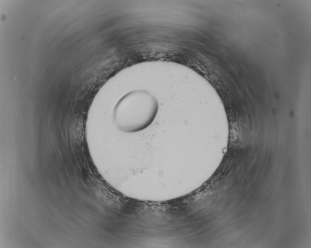 X0000088020820200705251049