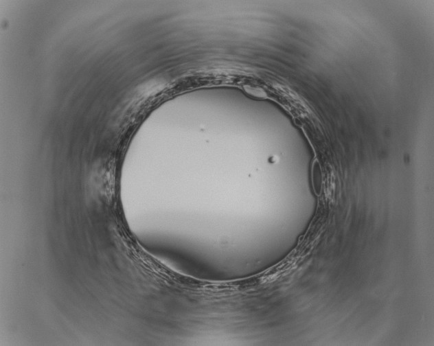 X0000088020821200705251049