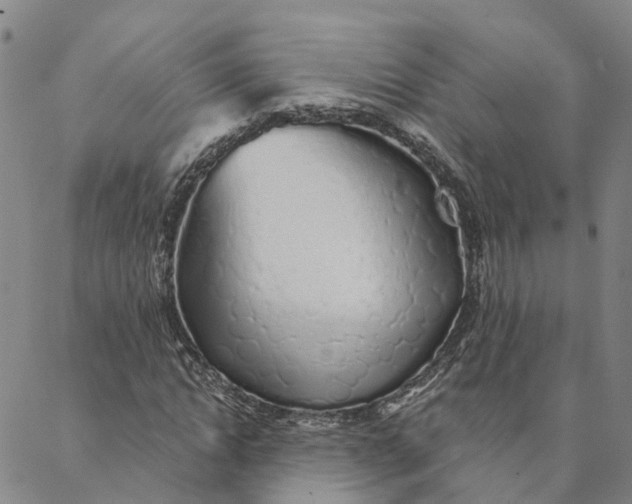 X0000088020822200705251049