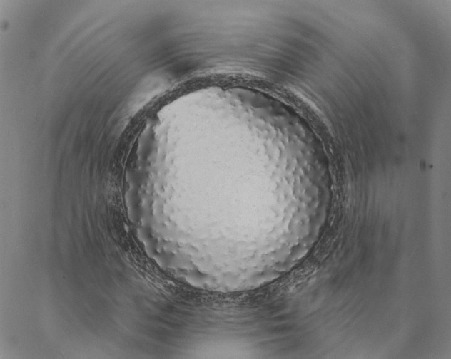 X0000088020823200705251049