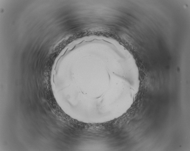 X0000088020824200705251049