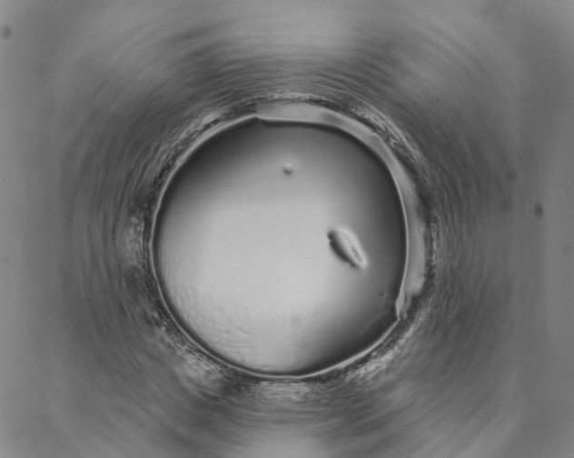 X0000088020825200705251049