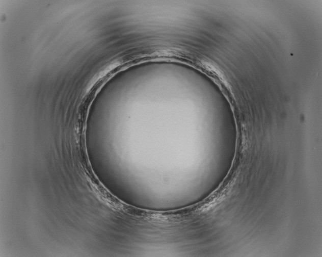 X0000088020827200705251049