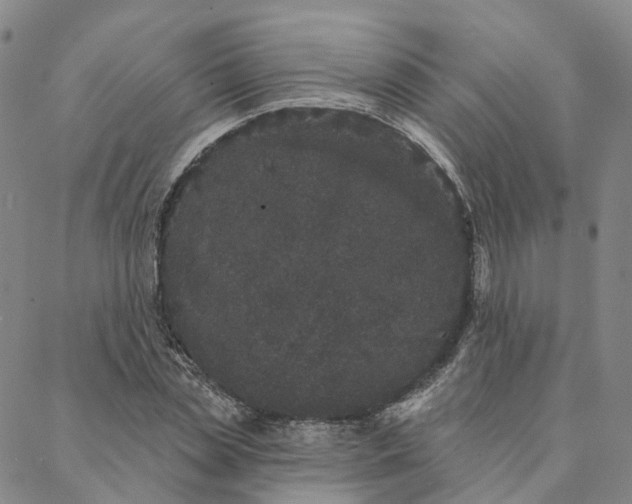 X0000088020829200705251049