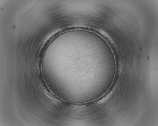 X0000088020830200705251049