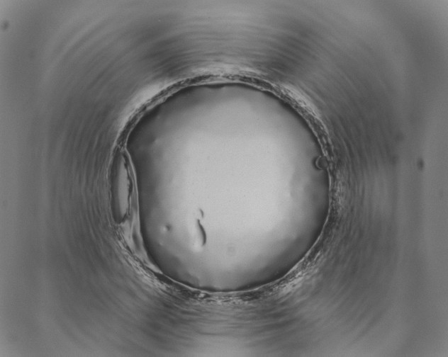 X0000088020831200705251049