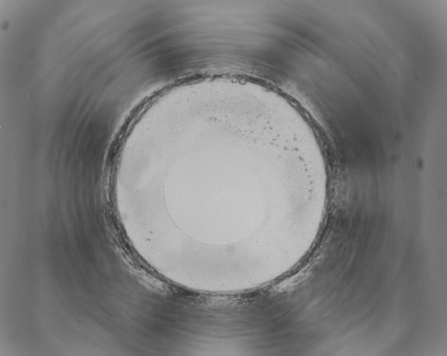 X0000088020832200705251049