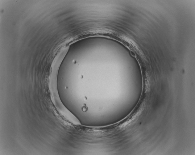 X0000088020833200705251049