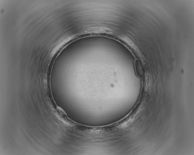 X0000088020834200705251049