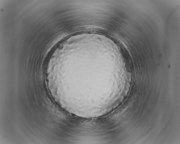 X0000088020835200705251049