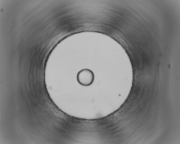 X0000088020836200705251049