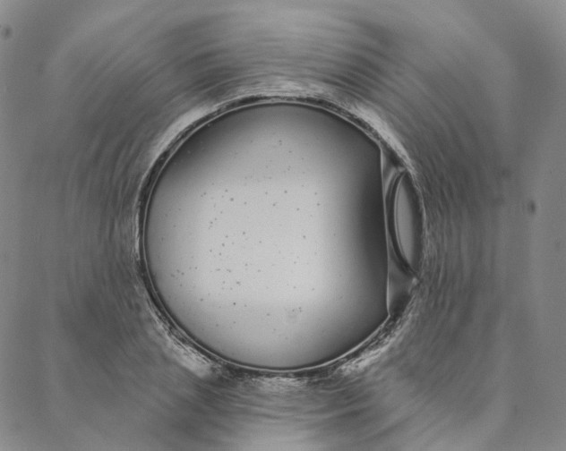 X0000088020837200705251049