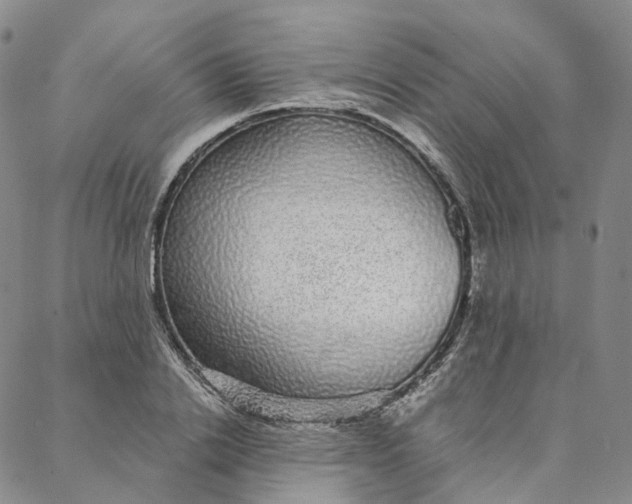 X0000088020838200705251049