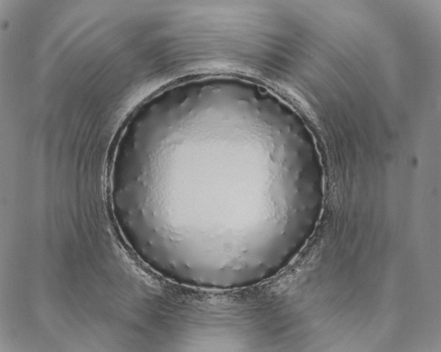 X0000088020839200705251049